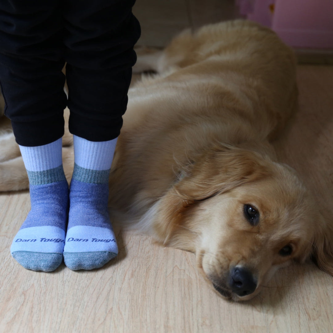Dog laying down next to someone wearing micro crew socks.