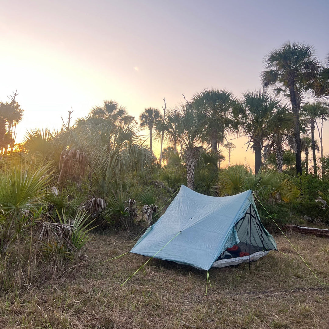 A tent pitched on the ground, surrounded by palm trees, as the sun rises over the Florida Trail