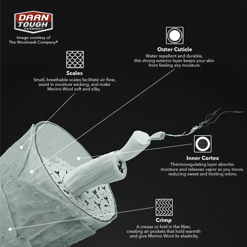 An infographic showing the anatomy of a merino wool fiber and how it works