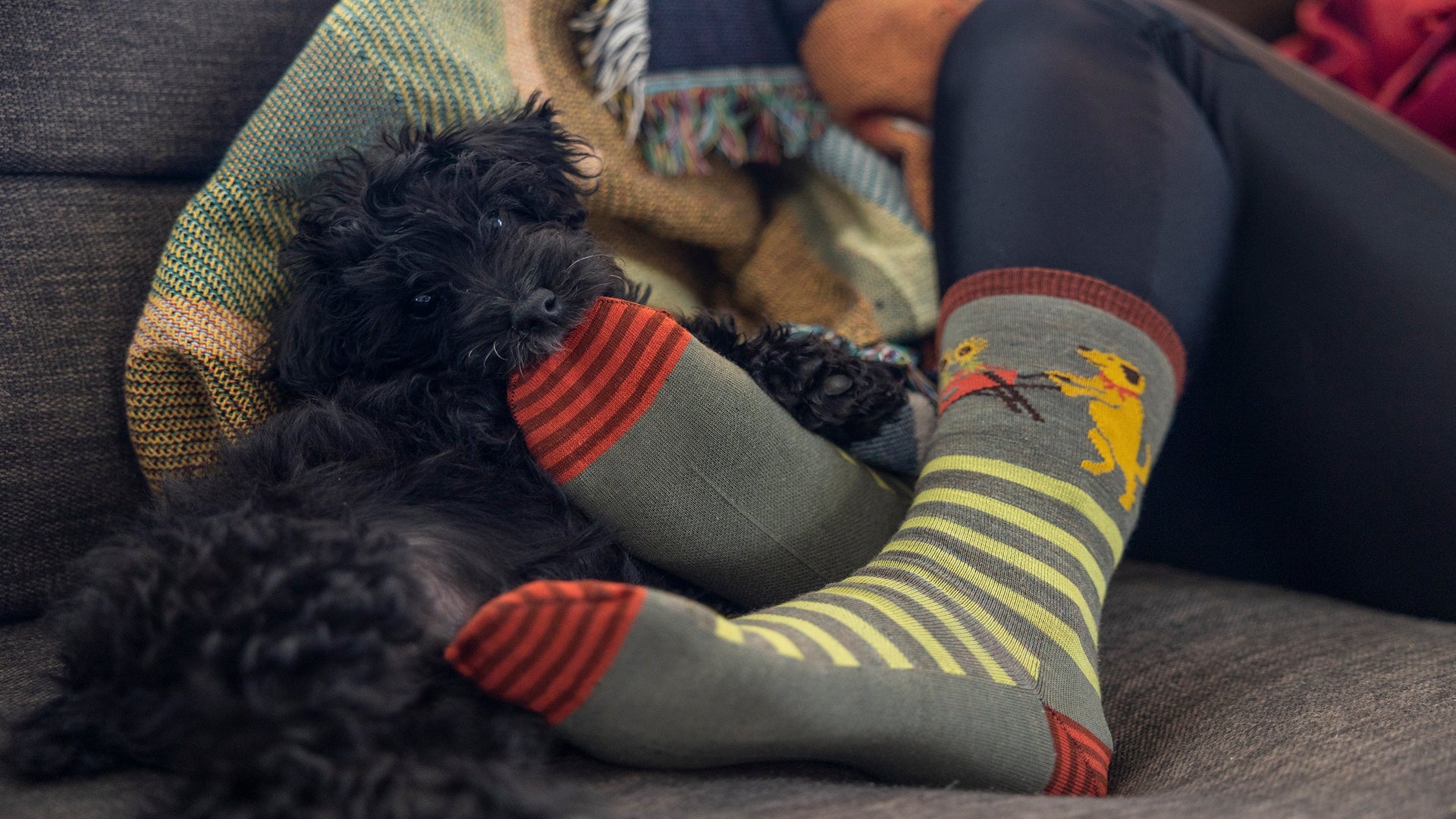 models feet up on couch with dog wearing the 6037 animal huas in herb